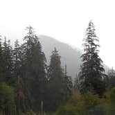 Review photo of Hoh Rain Forest - Olympic National Park by Tom K., September 27, 2016
