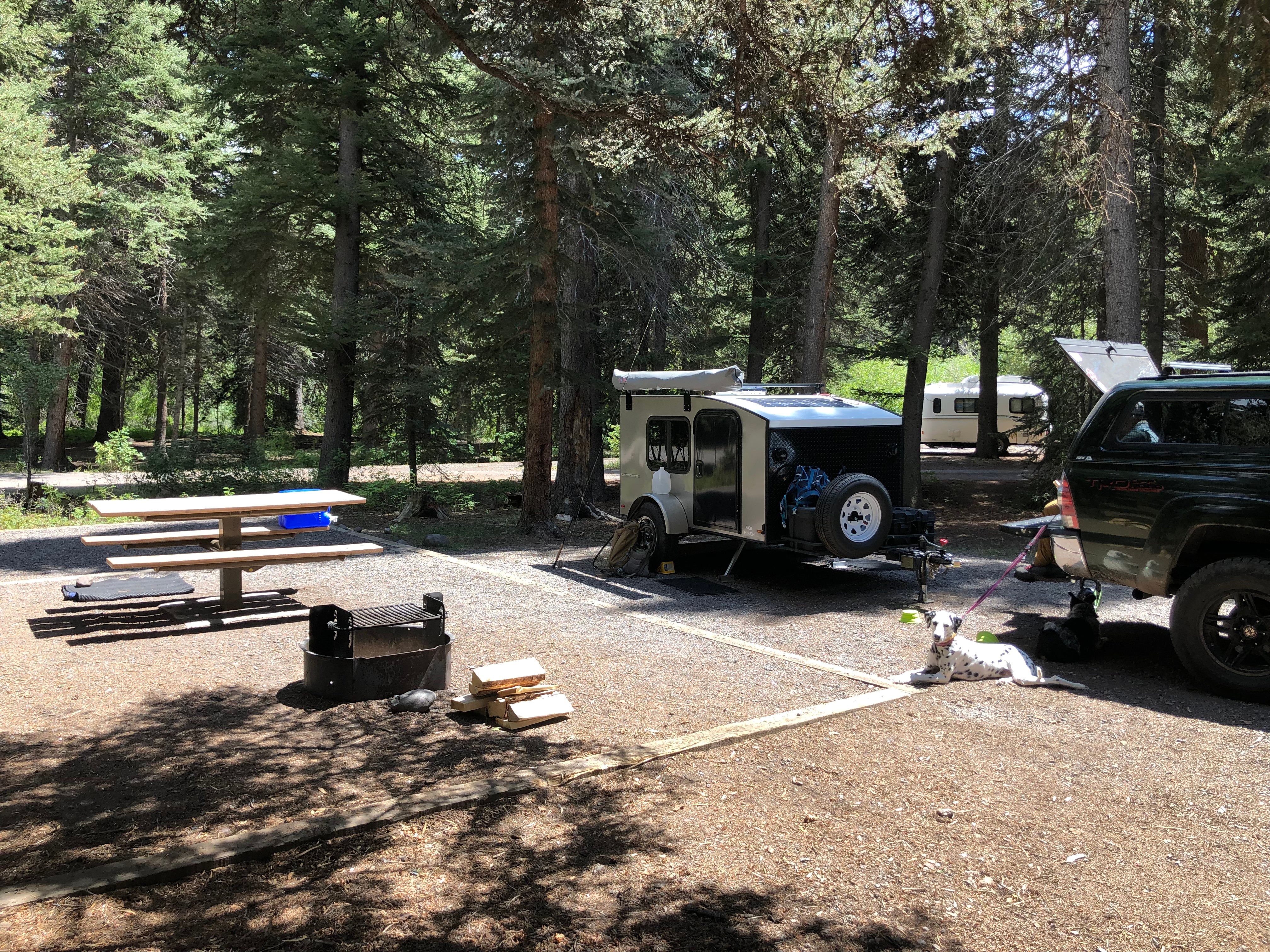 Camper submitted image from Aspen Glade (rio Grande National Forest, Co) - 5