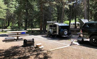 Angelica B.'s photo at Aspen Glade (rio Grande National Forest, Co) near La Jara, CO