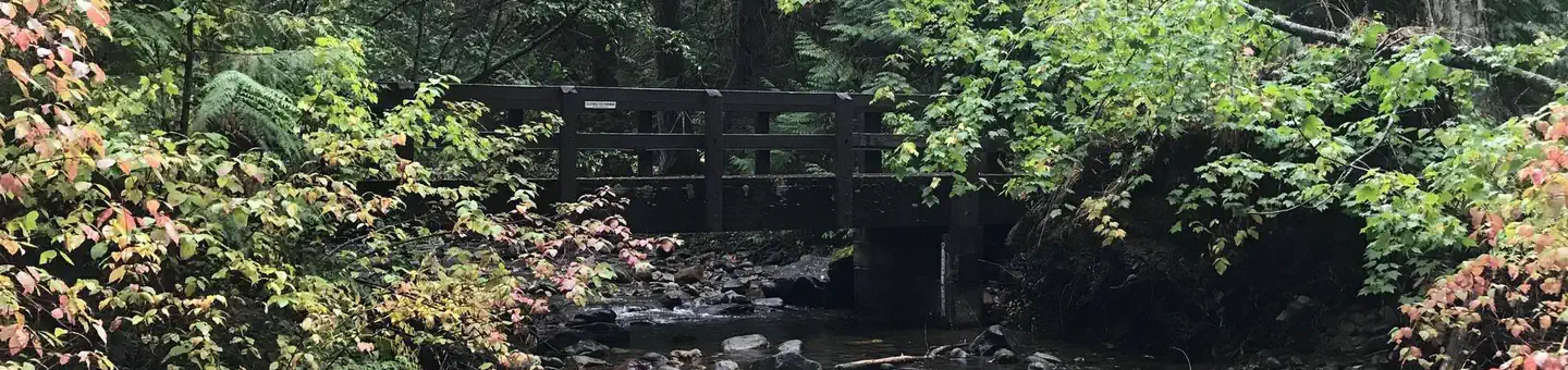 Camper-submitted photo at Fish Creek Campground — Glacier National Park in Montana