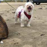 Review photo of Follett’s Island Beach by Andrea P., August 24, 2019