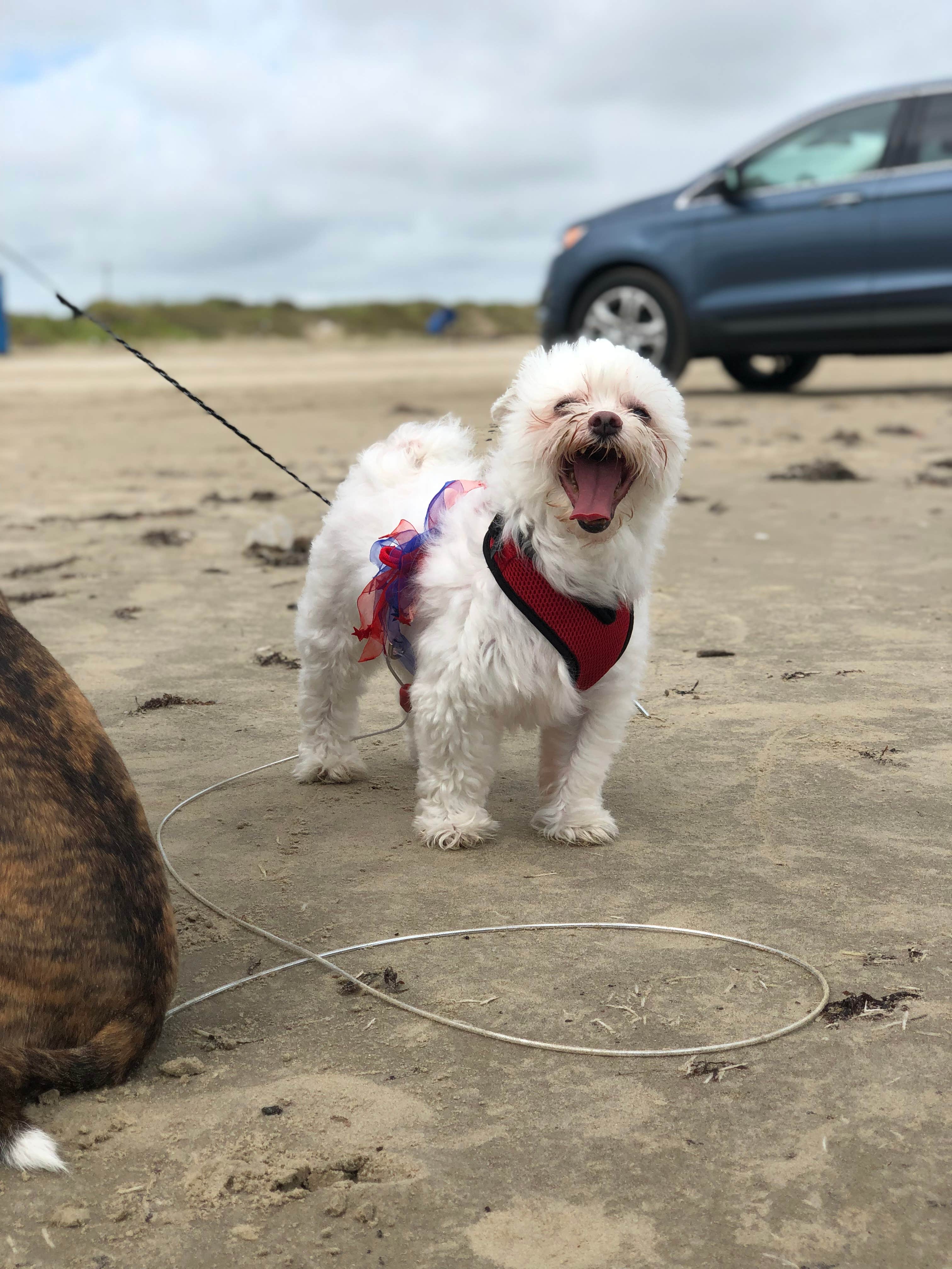 Camper submitted image from Follett’s Island Beach - 5