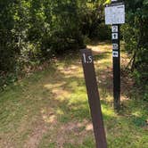 Review photo of McGinnis Lake Modern Campground — Holly Recreation Area by Kate K., August 24, 2019