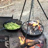 Review photo of Pocahontas State Park Campground by Daryl L., August 25, 2019