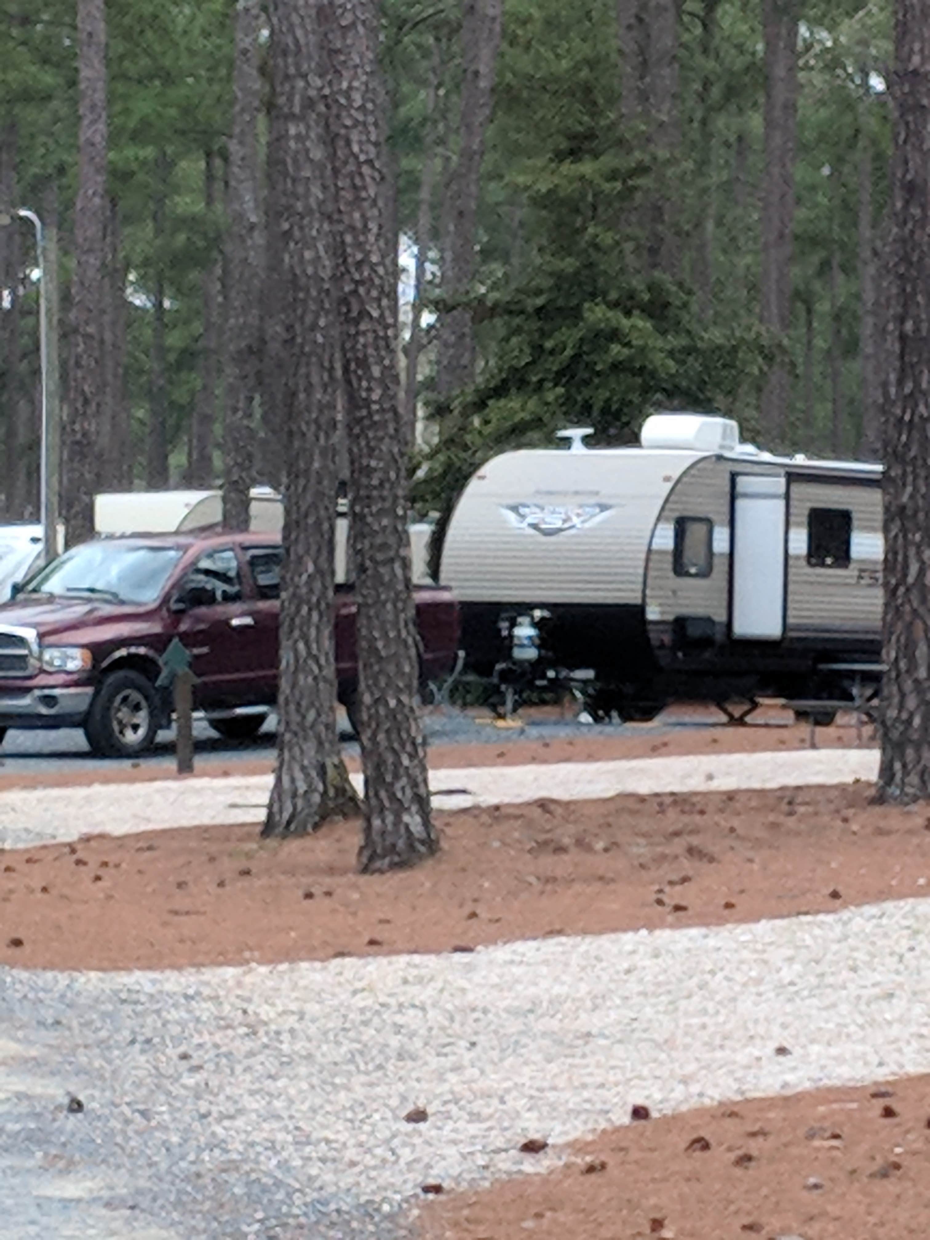 Camper submitted image from Sycamore Lodge - 5