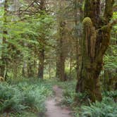 Review photo of Hoh Rain Forest - Olympic National Park by Tom K., September 27, 2016