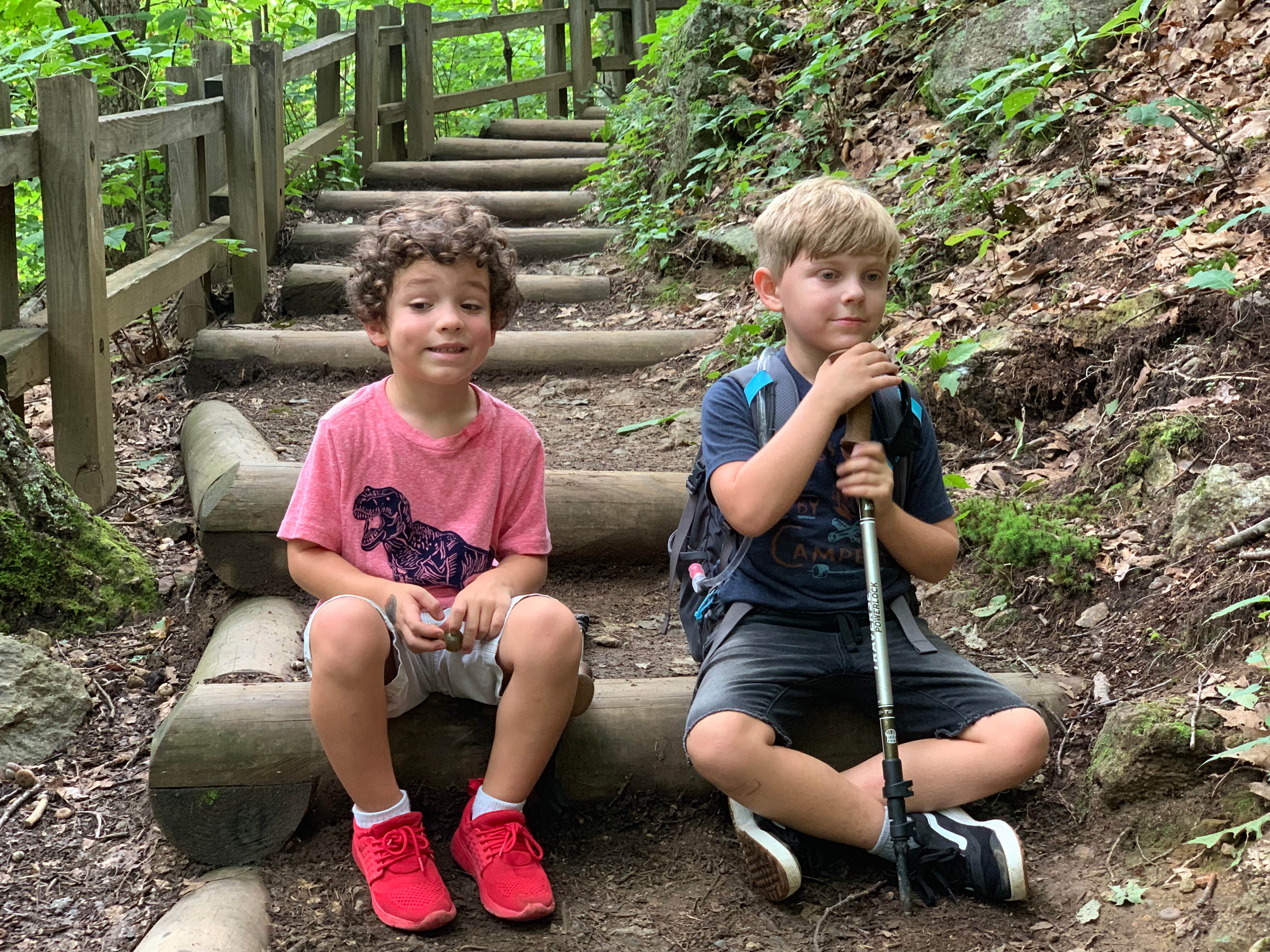 Camper submitted image from Crabtree Falls Campground - 4