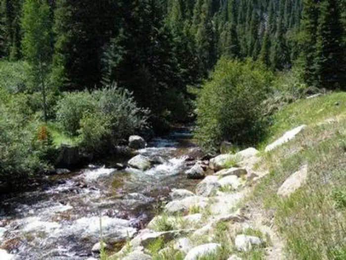 Camper submitted image from Peaceful Valley - 1