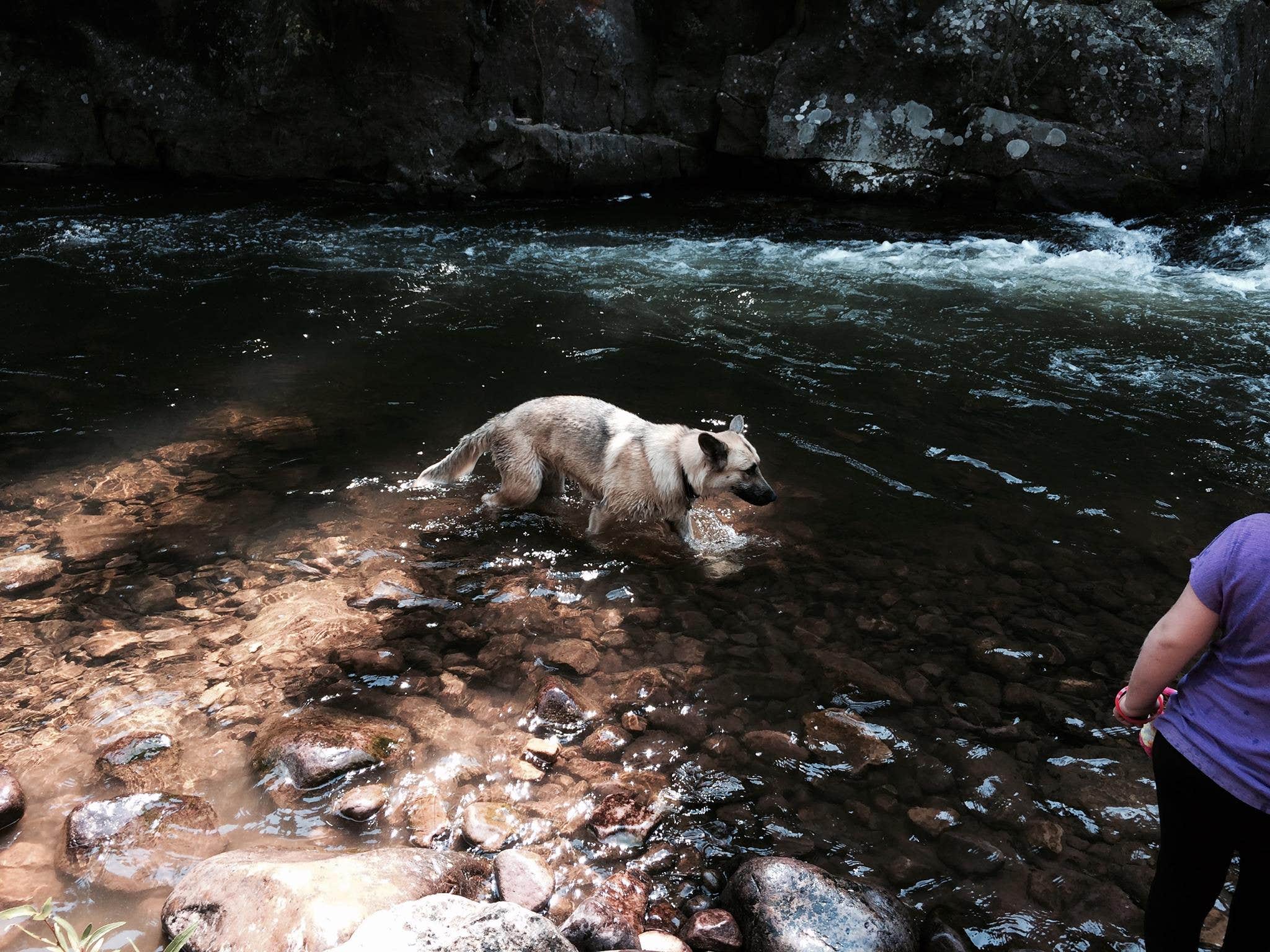 Camper-submitted photo at Whiterocks near Neola, UT
