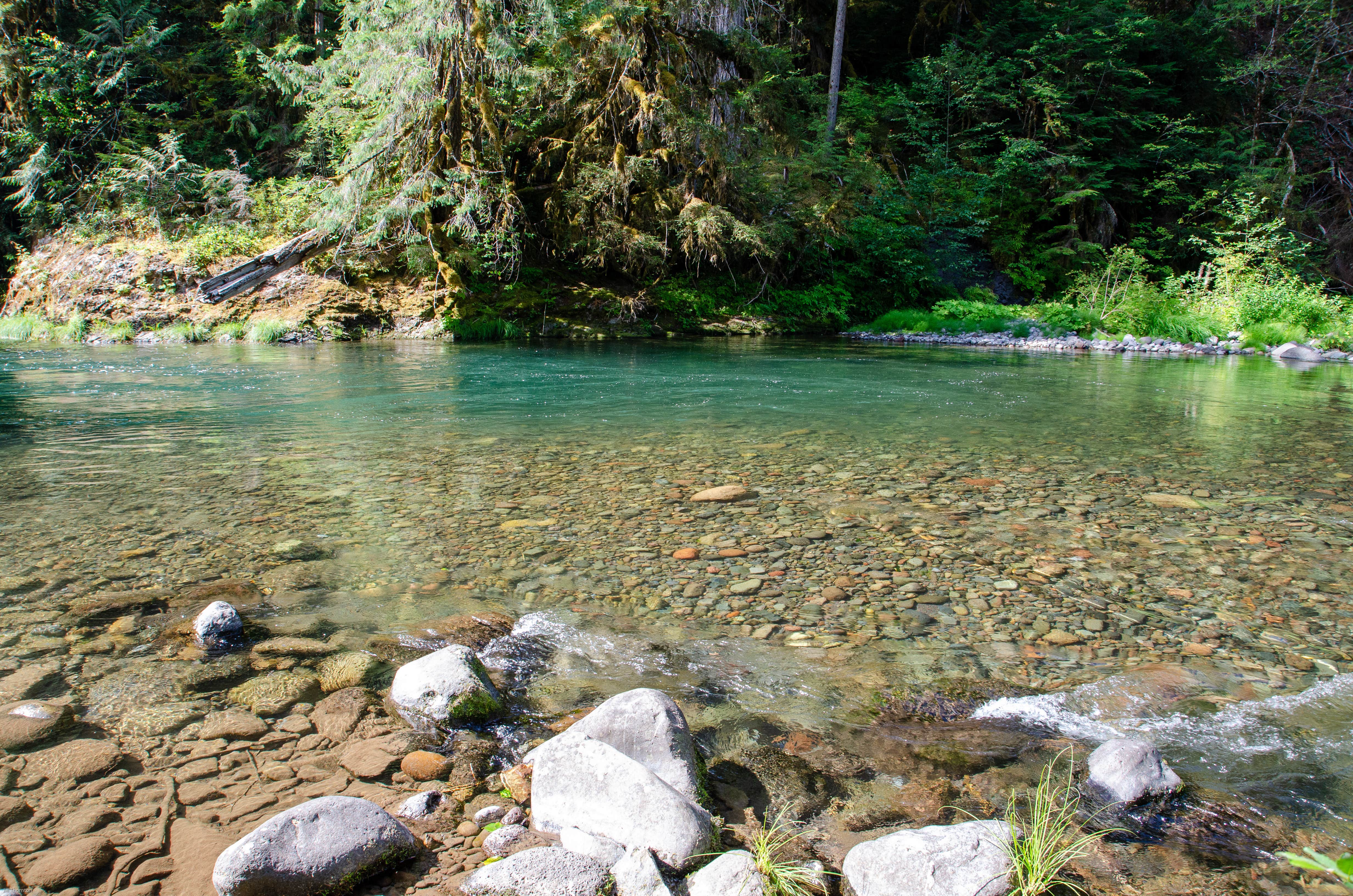 Camper submitted image from Whispering Falls Campground - 4