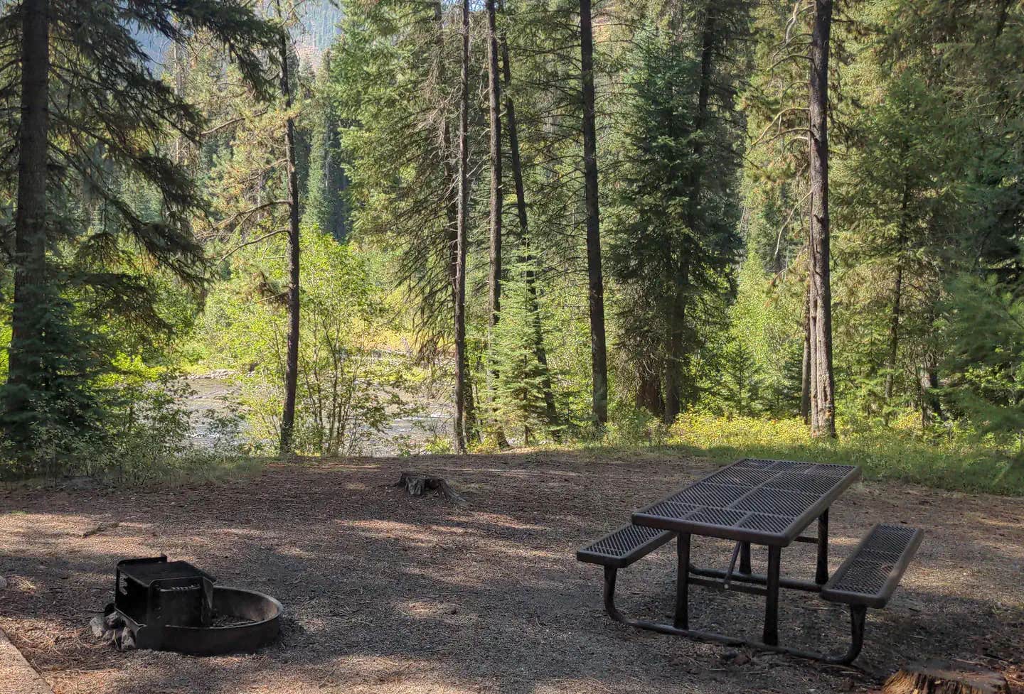 Camper submitted image from Poverty Flat - 1