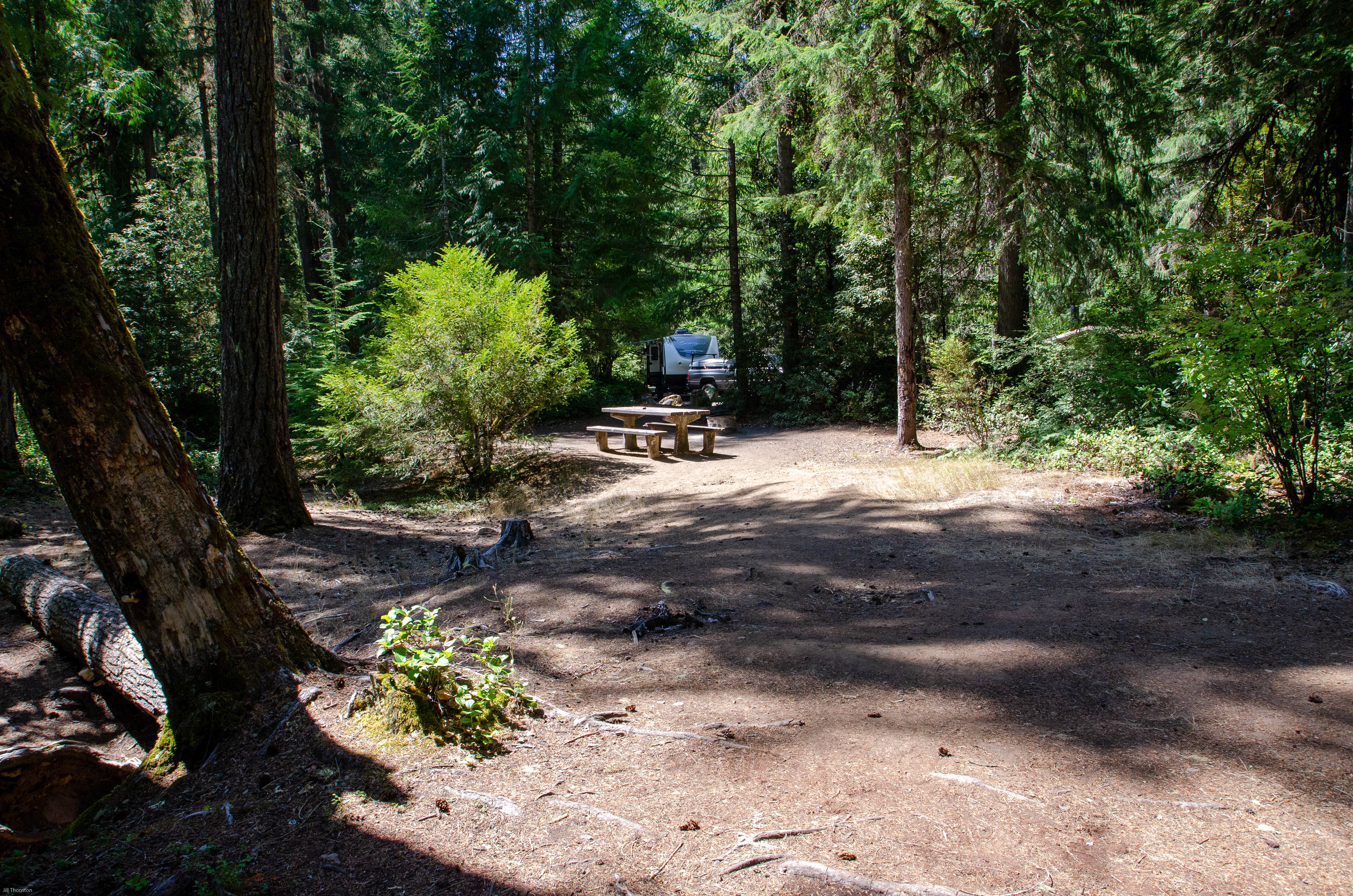 Camper submitted image from Whispering Falls Campground - 5