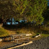 Review photo of Turn Island State Park Campground by Shari  G., September 27, 2016