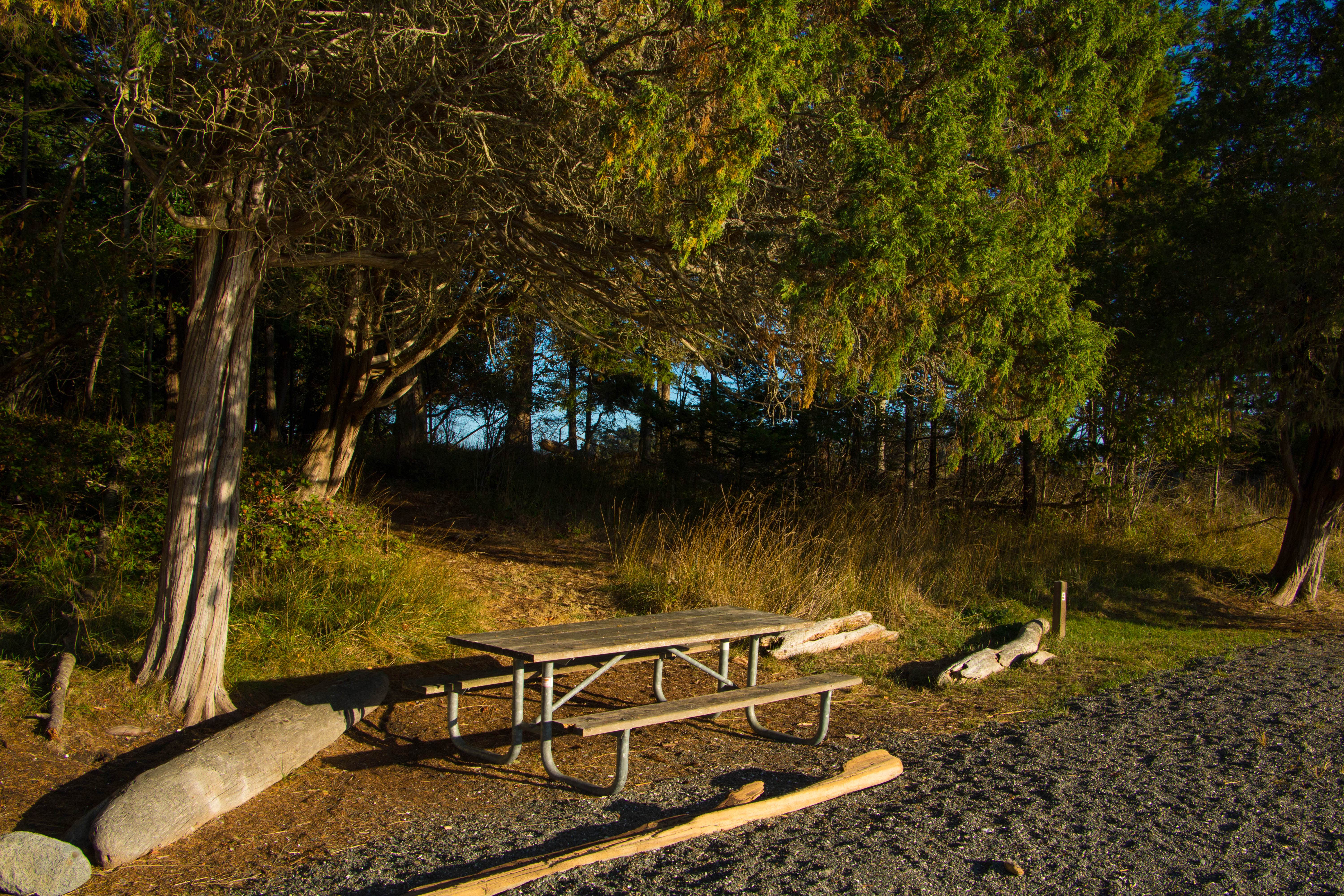 Camper submitted image from Turn Island State Park Campground - 5
