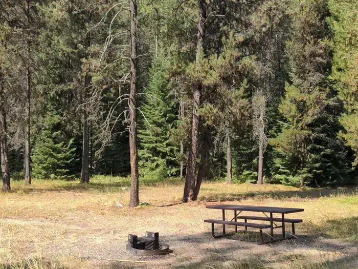 Camper-submitted photo at Poverty Flat near Yellow Pine, ID