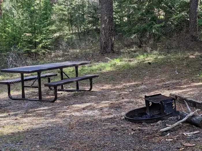 Camper-submitted photo at Poverty Flat near Yellow Pine, ID