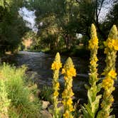 Review photo of Riverview RV Park & Campground by Tyler D., August 25, 2019