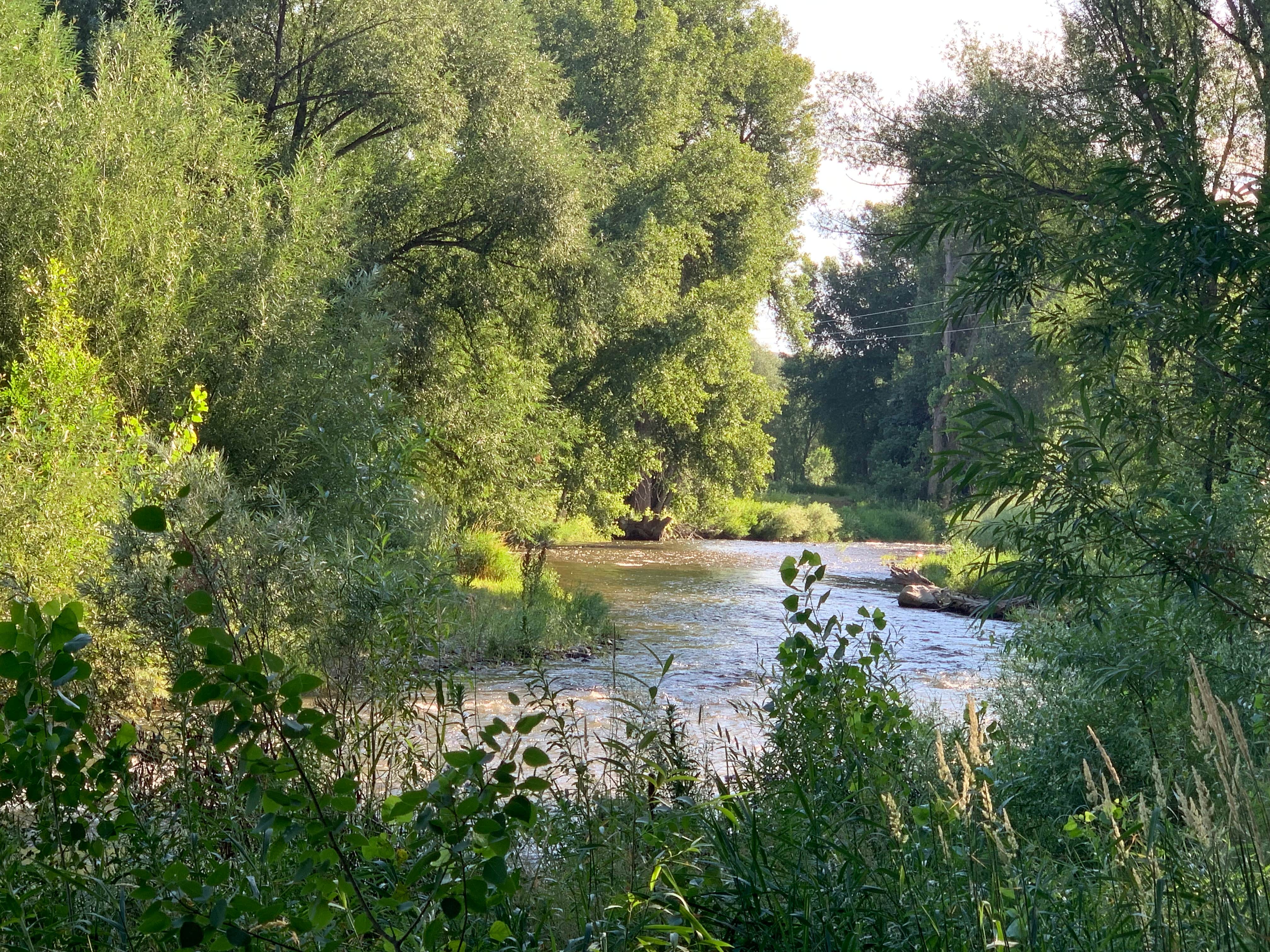 Camper-submitted photo at Riverview RV Park & Campground near Johnstown, CO