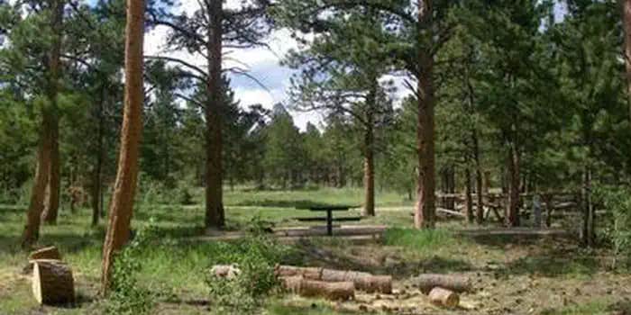 Camper submitted image from Jacks Gulch - **CLOSED FOR SEASON**