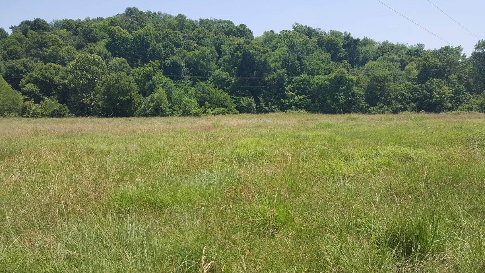 Camper-submitted photo at Huge Great Bus Camping near Bixby, OK