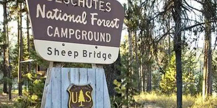 Camper submitted image from Sheep Bridge