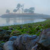 Review photo of Turn Island State Park Campground by Shari  G., September 27, 2016