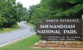 Camping near Madison Vines RV Resort & Cottages: Big Meadows Campground — Shenandoah National Park, Stanley, Virginia