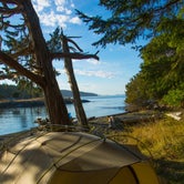 Review photo of Turn Island State Park Campground by Shari  G., September 27, 2016