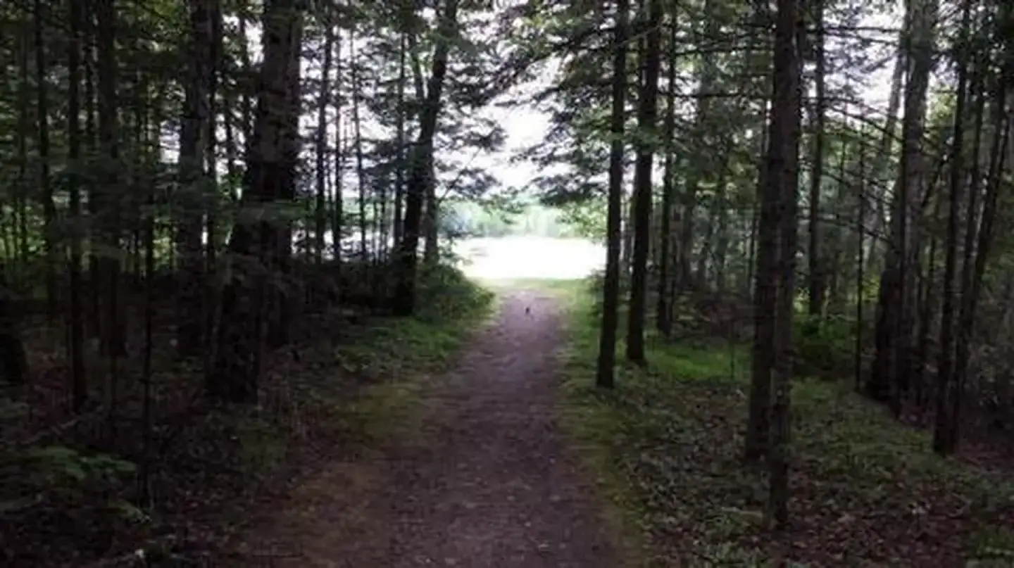 Camper-submitted photo at Richardson Lake near Pearson, WI