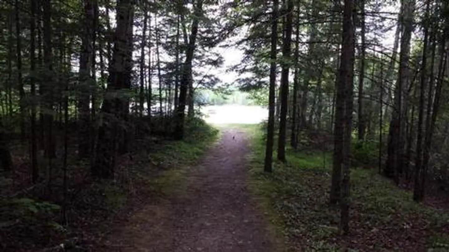 Camper submitted image from Richardson Lake - 1