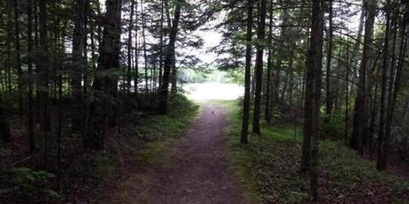 Camper submitted image from Richardson Lake