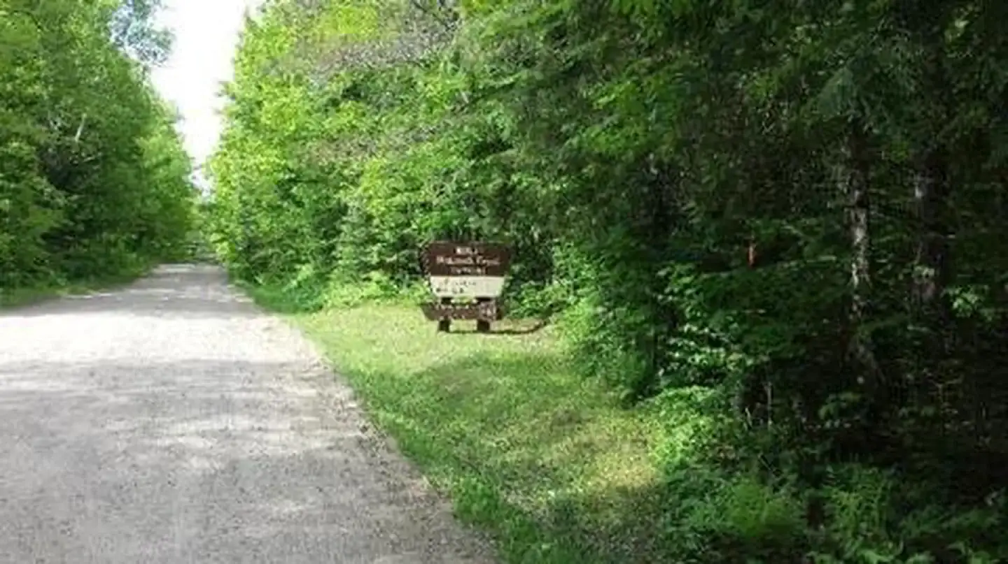 Camper-submitted photo at Richardson Lake near Pearson, WI