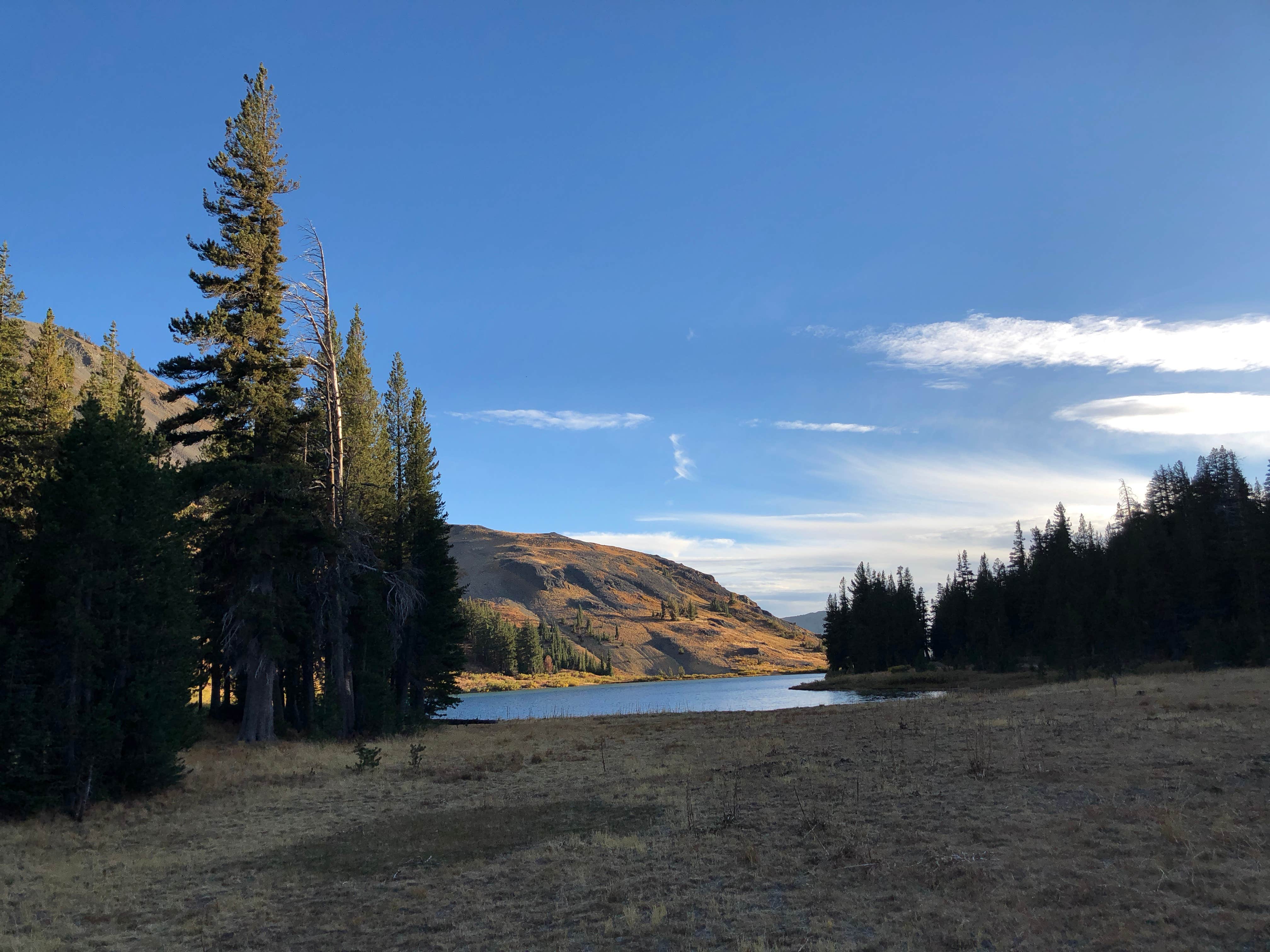 Escape To The Emerald Embrace: Northern California’s Pine Marten Campground