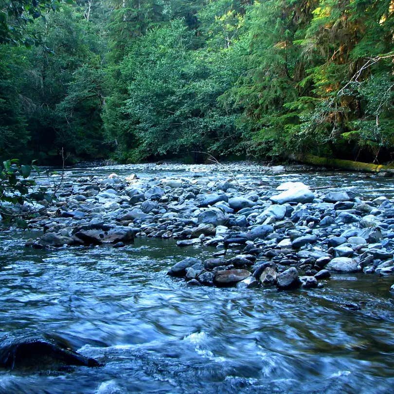 Staircase Campground — Olympic National Park
