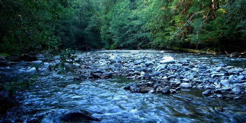 Camper submitted image from Staircase Campground — Olympic National Park