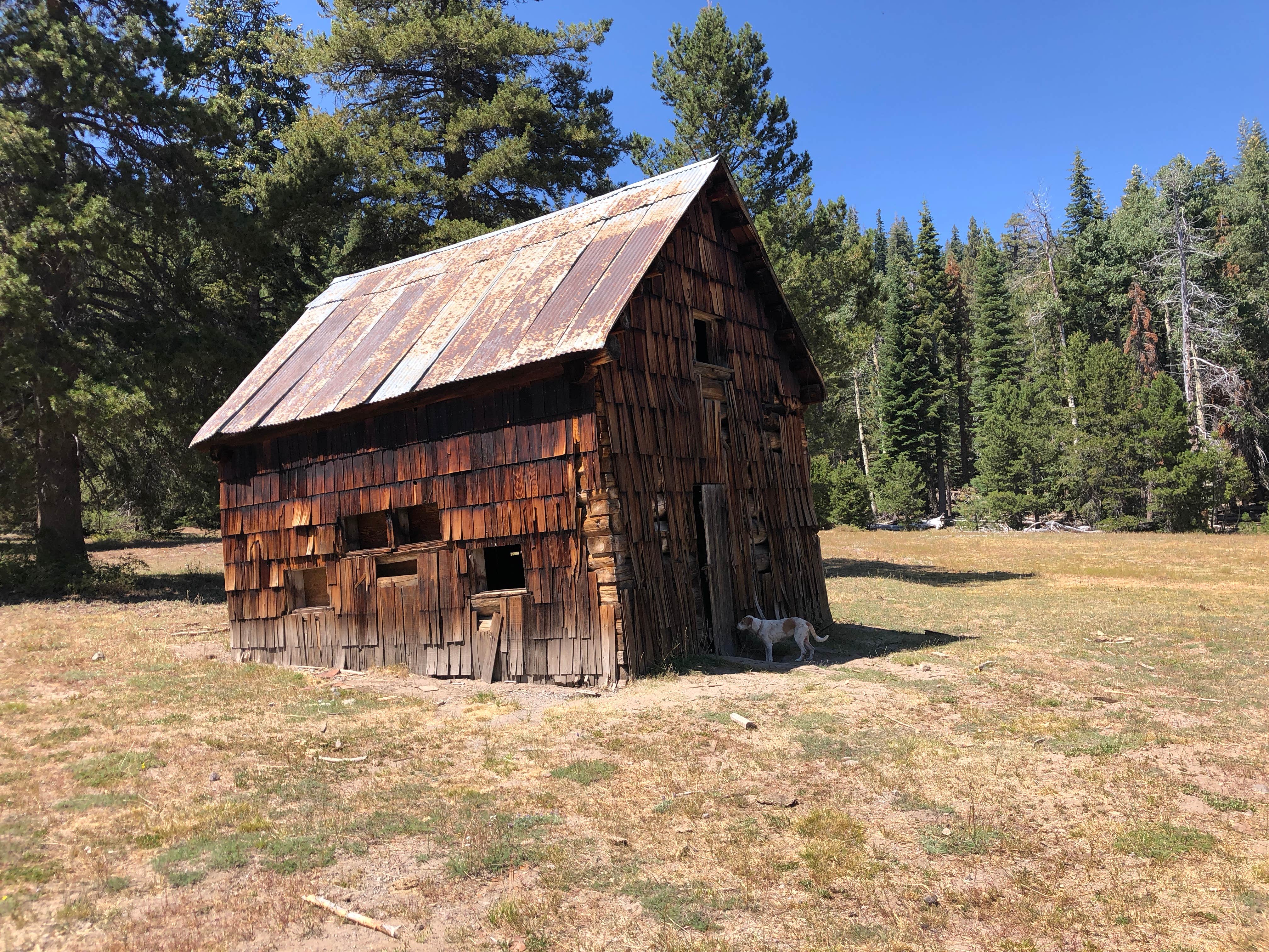 Camper submitted image from Pine Marten Campground - 2