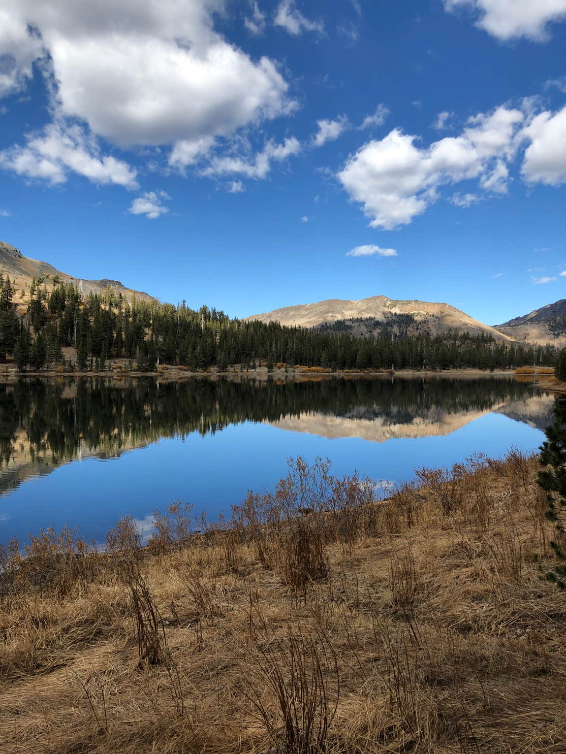 Highland Lakes Campground Camping The Dyrt