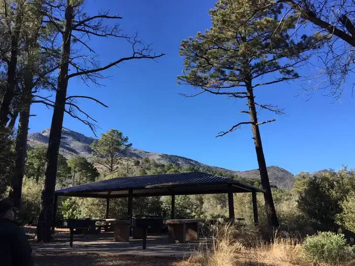 Camper-submitted photo at Reef Townsite Group Area near Hereford, AZ