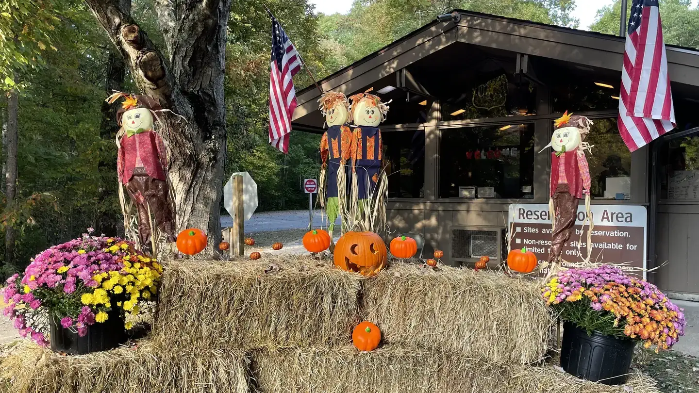 Camper-submitted photo at Holly Bay near Stanford, KY