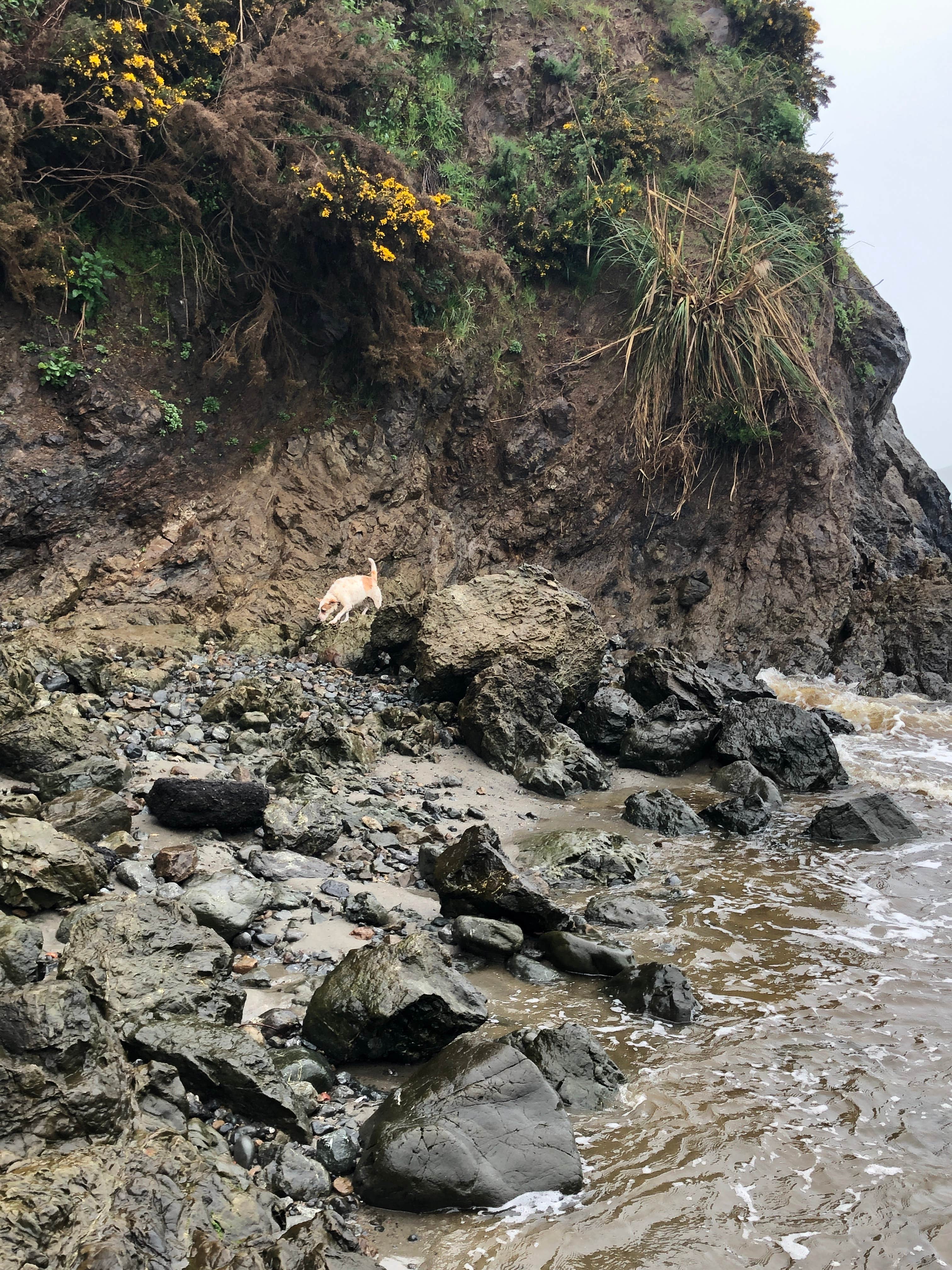 Camper-submitted photo at Caspar Beach RV Park & Campground near Piercy, CA