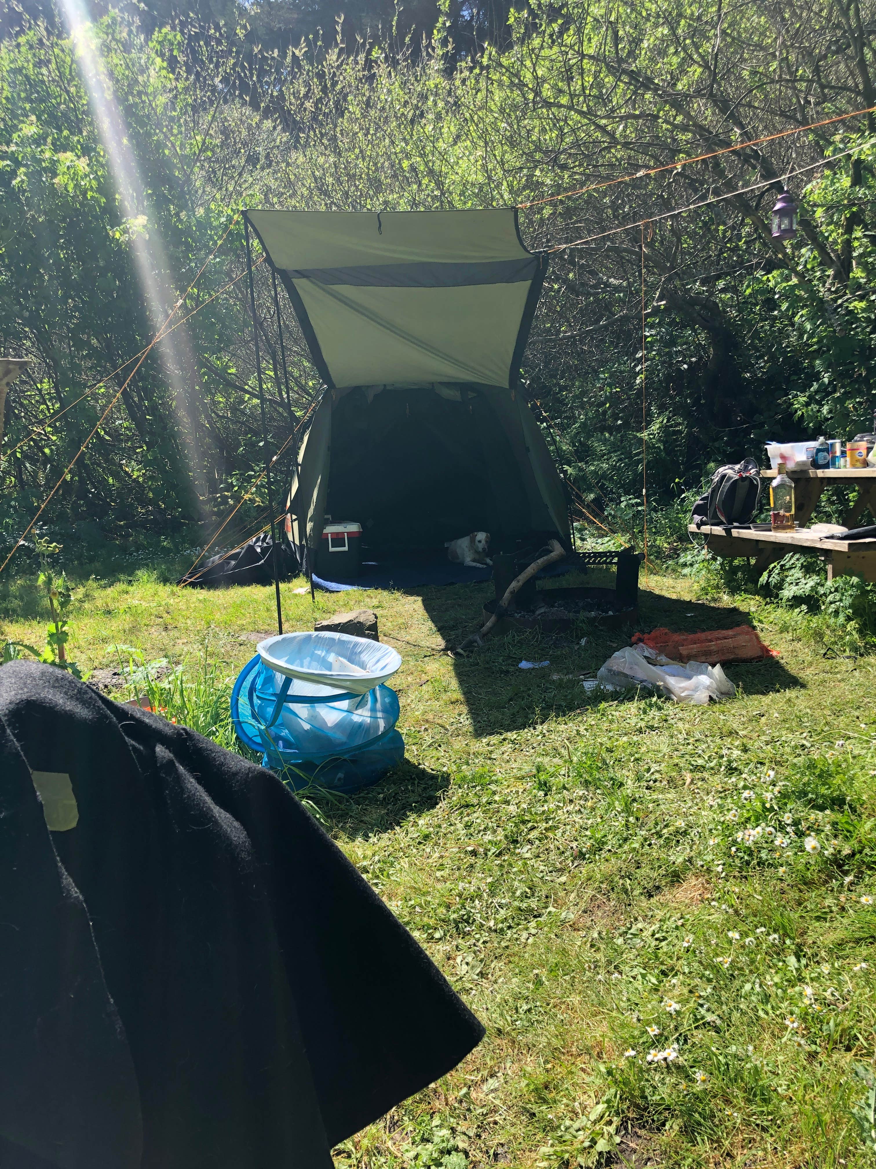 Reese F.'s photo at Caspar Beach RV Park & Campground near Westport, CA