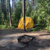 Review photo of Cabin City Campground (Mt) — Lolo National Forest by Tom K., August 25, 2019