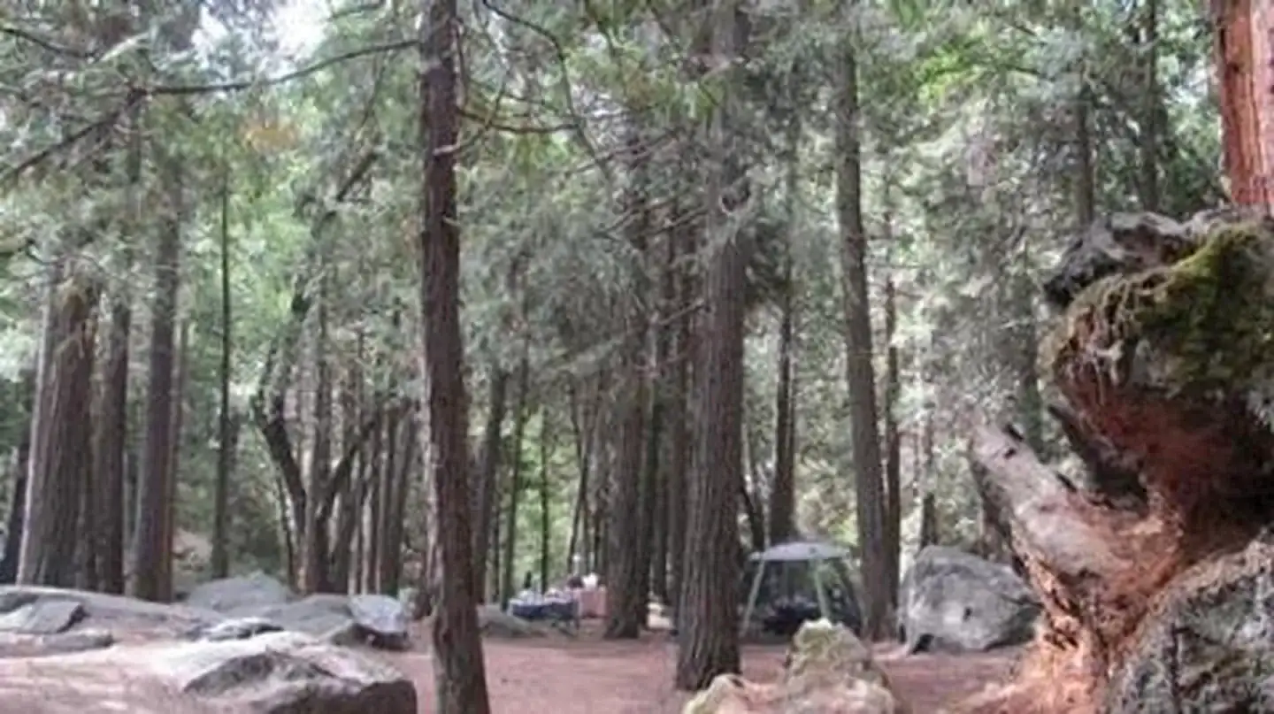 Camper-submitted photo at Sequoia National Forest Belknap Campground near Springville, CA