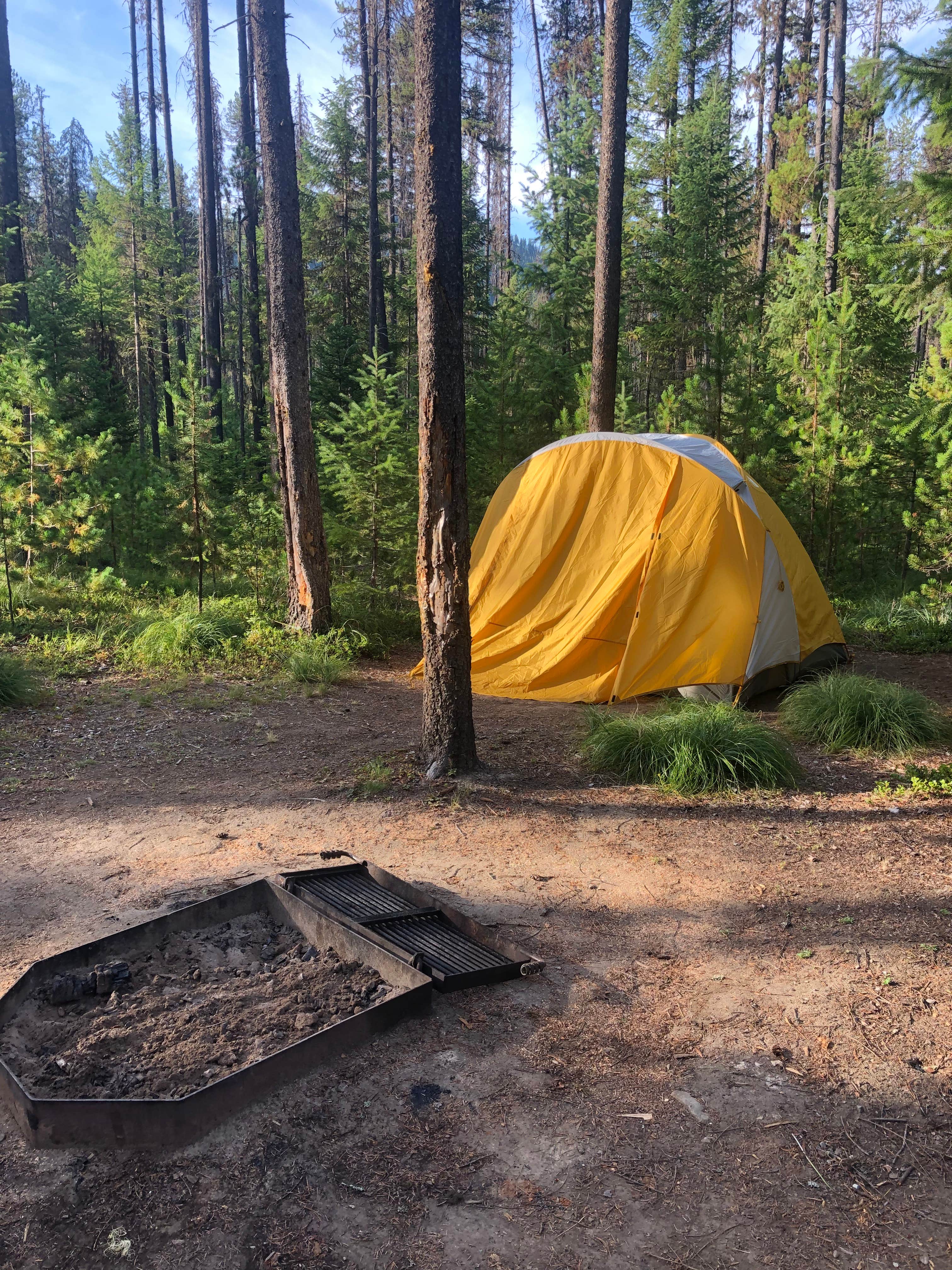 Camper submitted image from Cabin City Campground (Mt) — Lolo National Forest - 4