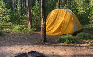Tom K.'s photo at Cabin City Campground (Mt) — Lolo National Forest near Plains, MT