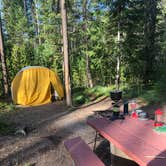 Review photo of Cabin City Campground (Mt) — Lolo National Forest by Tom K., August 25, 2019