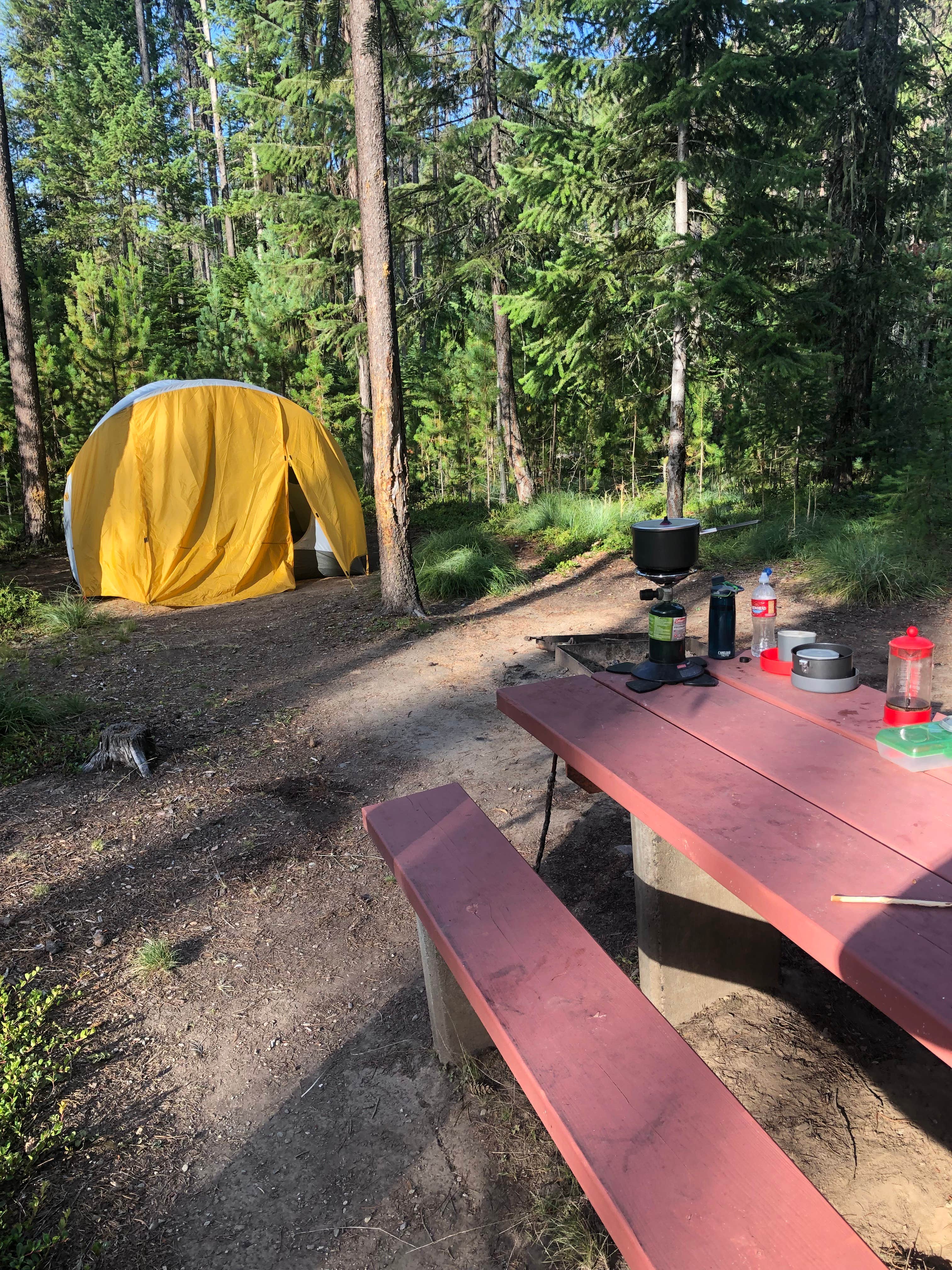 Camper submitted image from Cabin City Campground (Mt) — Lolo National Forest - 3