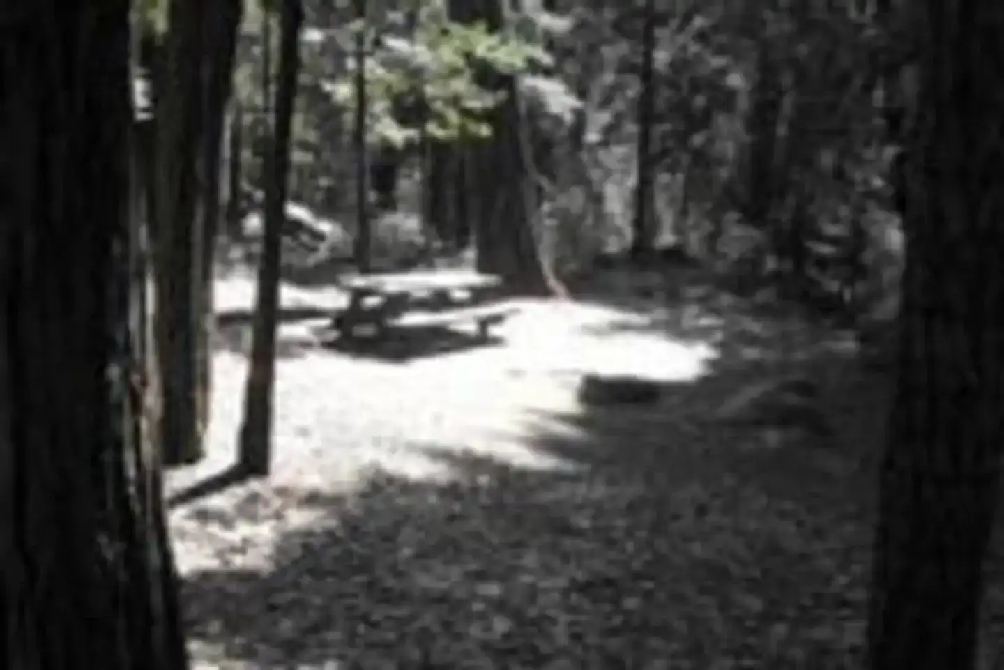 Camper-submitted photo at Sequoia National Forest Belknap Campground near Springville, CA