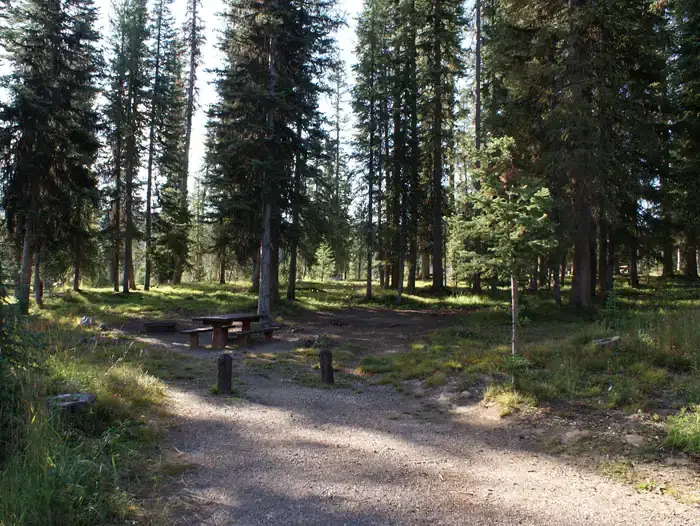 Camper-submitted photo at Meadows Campground near Yampa, CO