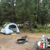 Review photo of Thompson Falls State Park Campground by Tom K., August 25, 2019